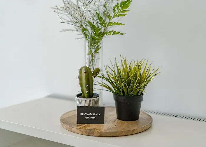 Rentonthebeach Nº2 *